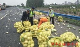 昌吉吃瓜群众,揭秘当地生活百态