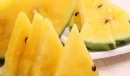 海南哪里吃瓜好,探寻海南最佳吃瓜胜地