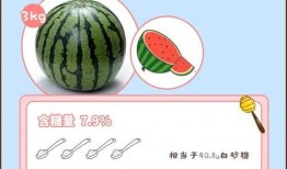 吃瓜糖分