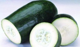 经期可以吃茭瓜,茭瓜助力女性健康调理