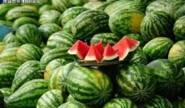 吃瓜什么人,见证时代变迁的人生百态