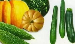 瓜杆子怎么吃啊,探索家常新吃法