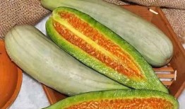 zjy 51吃瓜,一场网络热议背后的真相