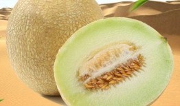 晚上吃蜜瓜冰淇淋,甜蜜梦境的味蕾之旅