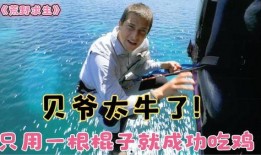 藏族吃瓜视频,揭秘藏族同胞的独特“吃瓜”文化