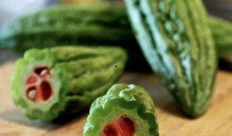 吃龙瓜,古老传说中的神奇果实