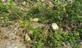 椒江疫情吃瓜,吃瓜群众视角下的防疫战记