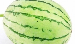 梦见在野外的瓜里吃瓜,野外瓜果盛宴，揭秘梦境中的瓜里吃瓜之谜