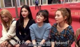 吃瓜群众wendy,揭秘娱乐圈幕后故事