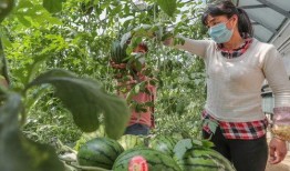 吃瓜群众大头头,揭秘娱乐圈幕后风云