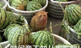 每天吃瓜总结,揭秘日常饮食中的健康秘密