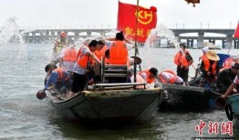 两岸民众吃瓜,两岸民众“吃瓜”现象背后的文化共鸣与情感互动