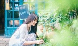 初心吃瓜小说,揭秘娱乐圈背后的秘密与真相