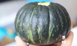 儿童可以吃贝贝瓜不,儿童适宜食用的贝贝瓜介绍