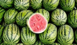 大瓜都在吃吗,全民皆知的秘密，都在这里揭秘