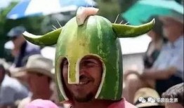 吃瓜大战青蛙,一场趣味横生的生态对决