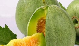 瓜苦吃吗,瓜苦吃吗？揭秘苦味瓜果的独特风味与营养价值