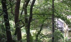 虞山森林吃瓜,探寻夏日消暑的“吃瓜”秘境