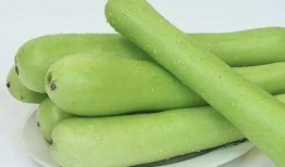 普瓜怎么吃,解锁美味新境界