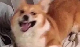 被动吃瓜,揭秘网络时代的围观文化现象