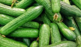 加vx吃瓜,加VX背后的社交奥秘