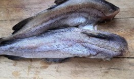 蕾蕾吃瓜鱼,揭秘网红美食背后的故事