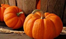 吃烧瓜多了好吗,过量食用烧瓜的潜在风险与注意事项