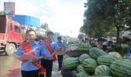 长垣市吃瓜事件,一场网络热议背后的真相与反思