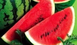 梦见卖田瓜和吃瓜,卖田瓜与吃瓜的奇幻之旅