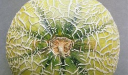 吃哈密瓜自拍说说,我的自拍故事