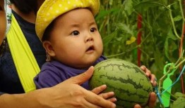 亲子吃瓜欢乐时刻,共享吃瓜快乐瞬间