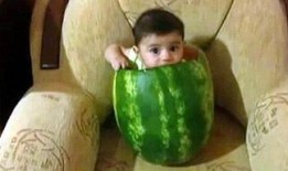 网暴热门吃瓜,揭秘热门事件背后的真相与反思