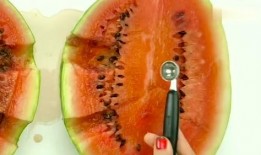 快速吃瓜教程,轻松掌握快速吃瓜教程