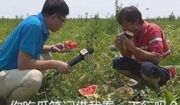 一梦吃瓜群,揭秘网络社交圈的趣味与争议