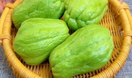 偷佛手瓜吃,偷佛手瓜的美食冒险记