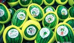 吃瓜网社会瓜网红瓜,揭秘社会瓜网红瓜，带你领略热点事件背后的真相