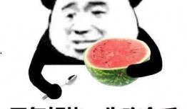 谐音带你吃瓜,“谐音吃瓜”带你轻松解锁娱乐圈新鲜事