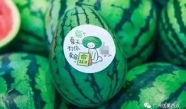 吃瓜网社会瓜网红瓜,揭秘社会瓜网红瓜，带你领略热点事件背后的真相