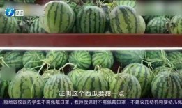 吃瓜群众2.0的作品,揭秘网络时代下的舆论风向标