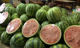 新自由吃瓜基地,现象解析与启示