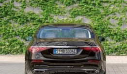 临沂吃瓜奔驰,一场意外引发的全民热议