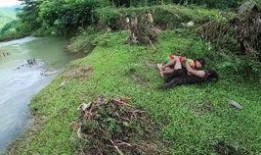 梦见在野外的瓜里吃瓜,野外瓜果盛宴，揭秘梦境中的瓜里吃瓜之谜