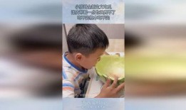 吃瓜哥哥3,娱乐圈风云再起，幕后真相大曝光