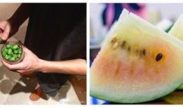 吃瓜群众在情感中,情感世界的旁观者与参与者