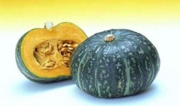 方瓜和角瓜一起吃,探寻健康饮食新搭配