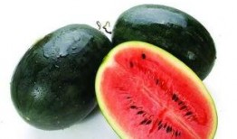 海南哪里吃瓜好,探寻海南最佳吃瓜胜地