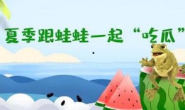 呱呱吃瓜故事文案图片,一场趣味横生的奇幻冒险之旅