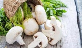 蘑菇视频吃瓜爆料,娱乐圈最新吃瓜大揭秘！