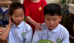 河北姐弟们吃瓜,一场夏日里的欢乐盛宴