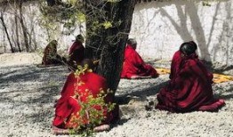 藏族吃瓜视频,揭秘藏族同胞的独特“吃瓜”文化